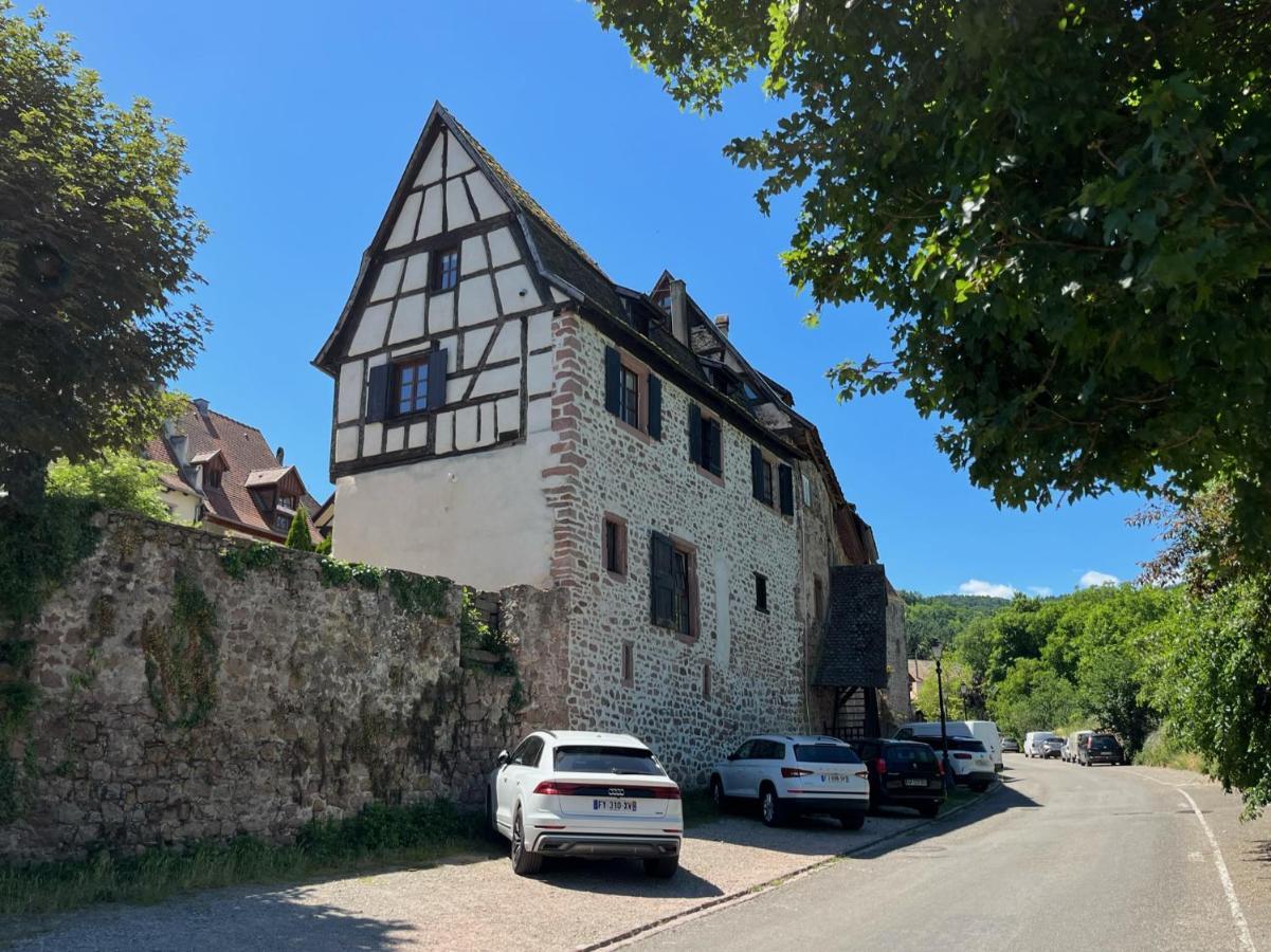 Domaine La Cour Des Nobles - Demeure, Maison Et Appartements Au Coeur De Riquewihr Buitenkant foto