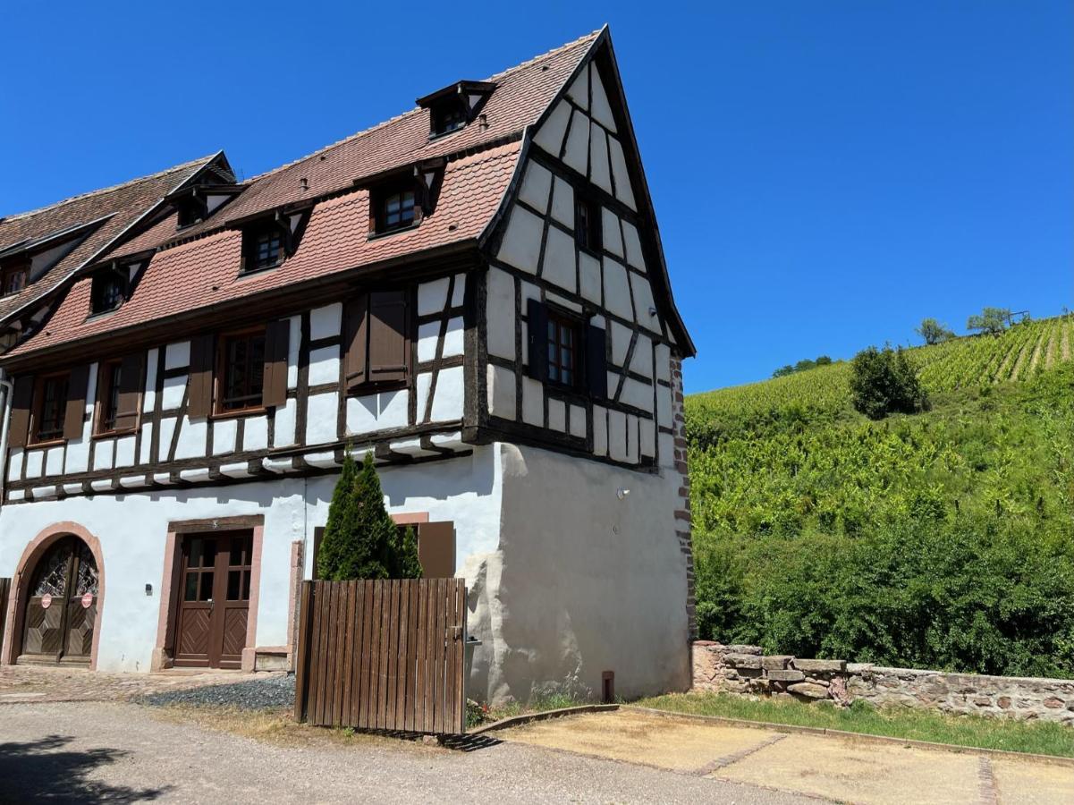 Domaine La Cour Des Nobles - Demeure, Maison Et Appartements Au Coeur De Riquewihr Buitenkant foto