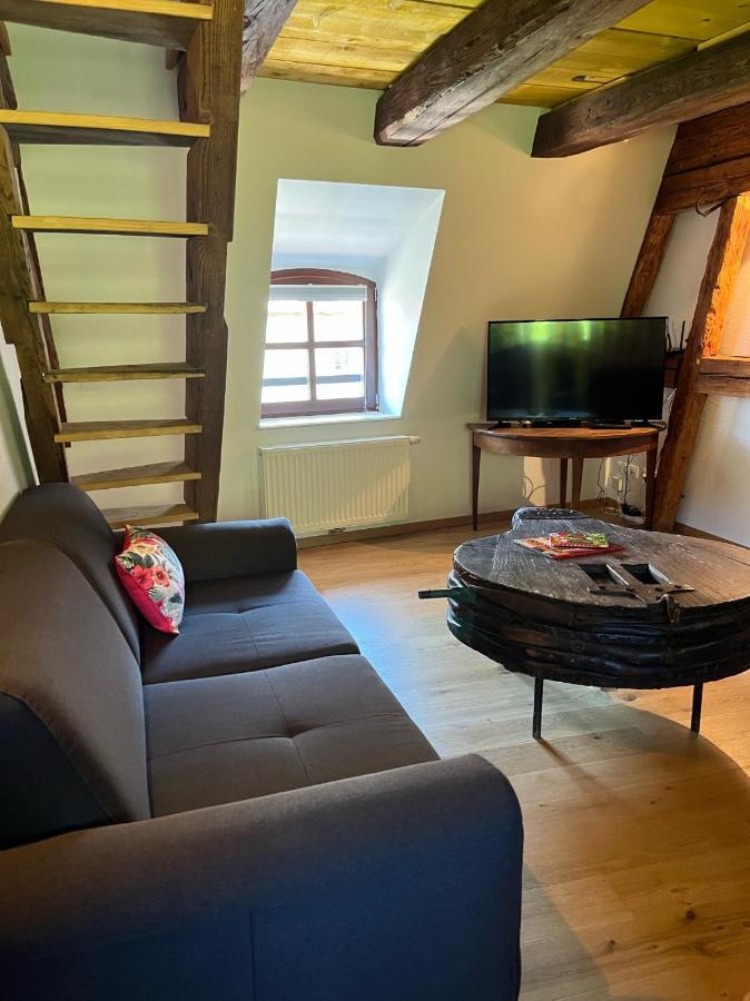Domaine La Cour Des Nobles - Demeure, Maison Et Appartements Au Coeur De Riquewihr Buitenkant foto