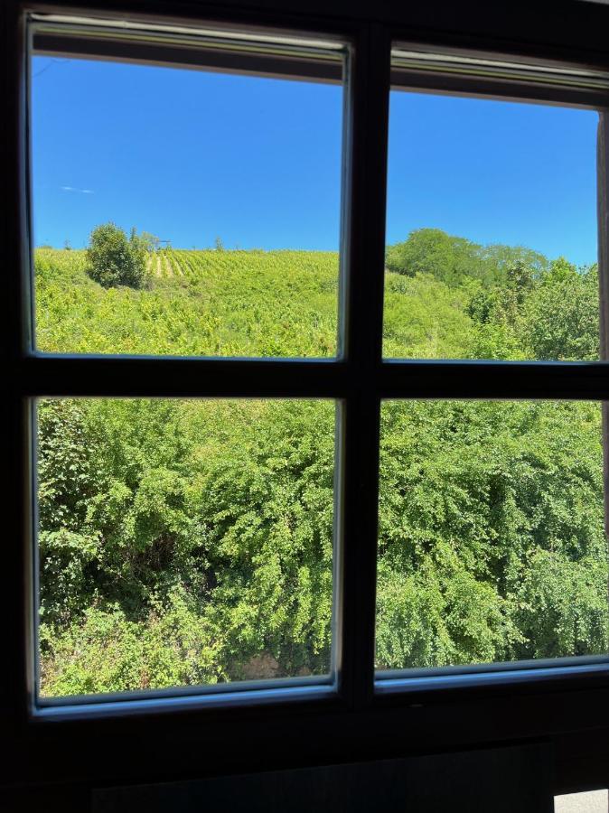 Domaine La Cour Des Nobles - Demeure, Maison Et Appartements Au Coeur De Riquewihr Buitenkant foto
