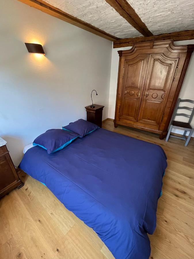Domaine La Cour Des Nobles - Demeure, Maison Et Appartements Au Coeur De Riquewihr Buitenkant foto