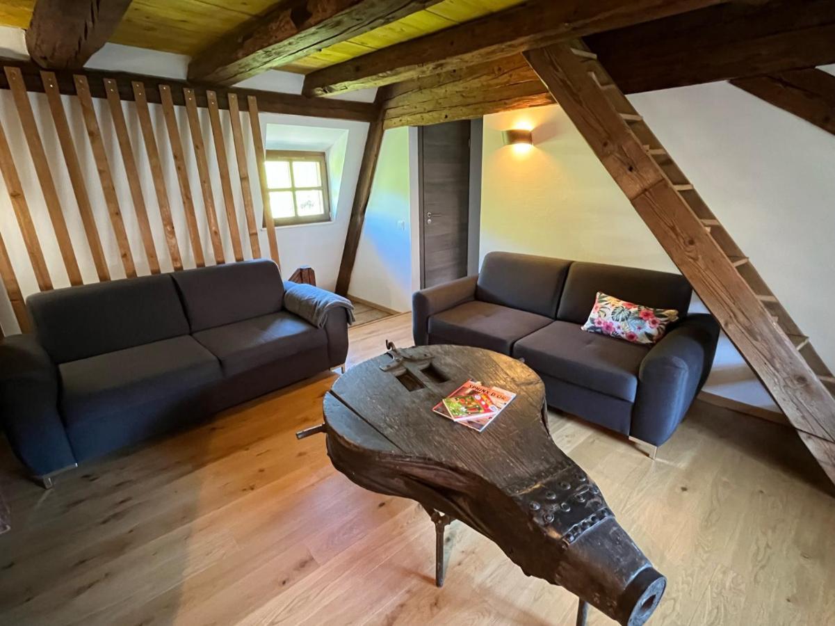 Domaine La Cour Des Nobles - Demeure, Maison Et Appartements Au Coeur De Riquewihr Buitenkant foto