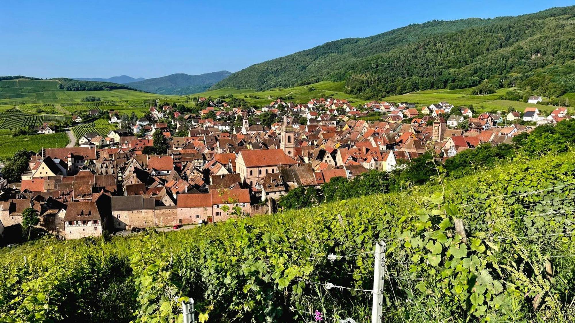 Domaine La Cour Des Nobles - Demeure, Maison Et Appartements Au Coeur De Riquewihr Buitenkant foto