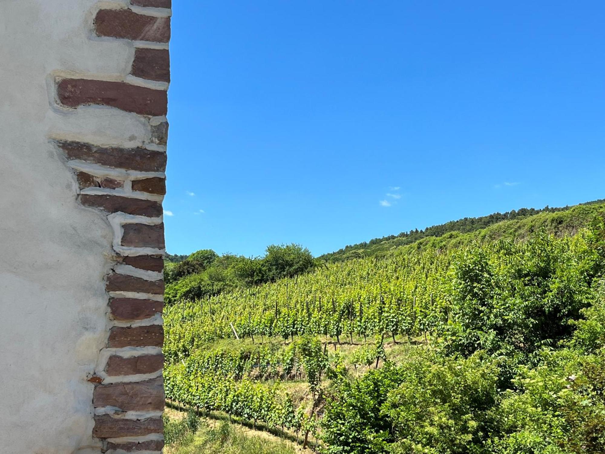 Domaine La Cour Des Nobles - Demeure, Maison Et Appartements Au Coeur De Riquewihr Buitenkant foto