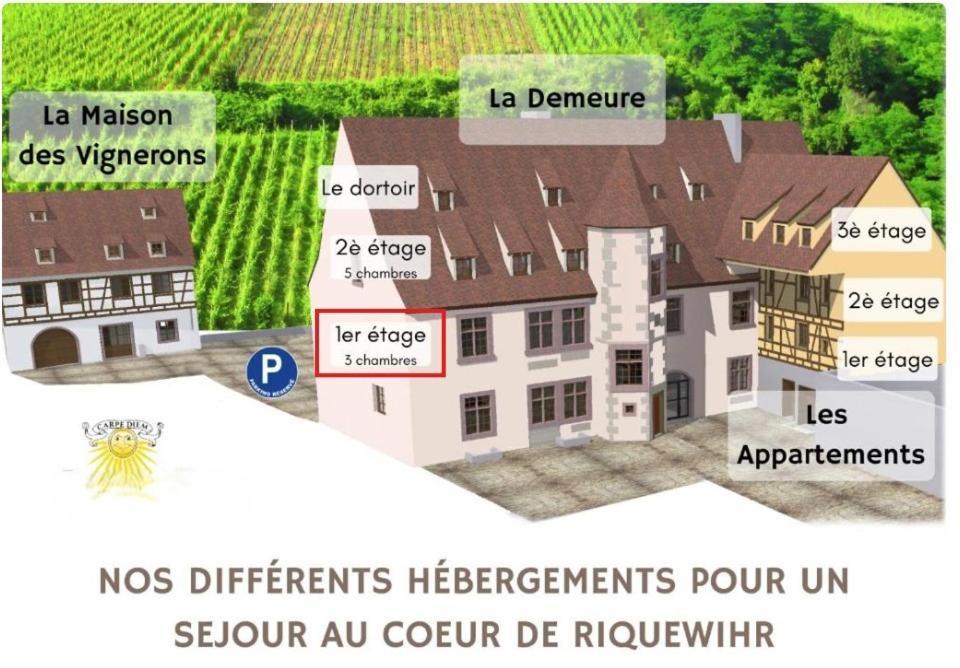 Domaine La Cour Des Nobles - Demeure, Maison Et Appartements Au Coeur De Riquewihr Kamer foto