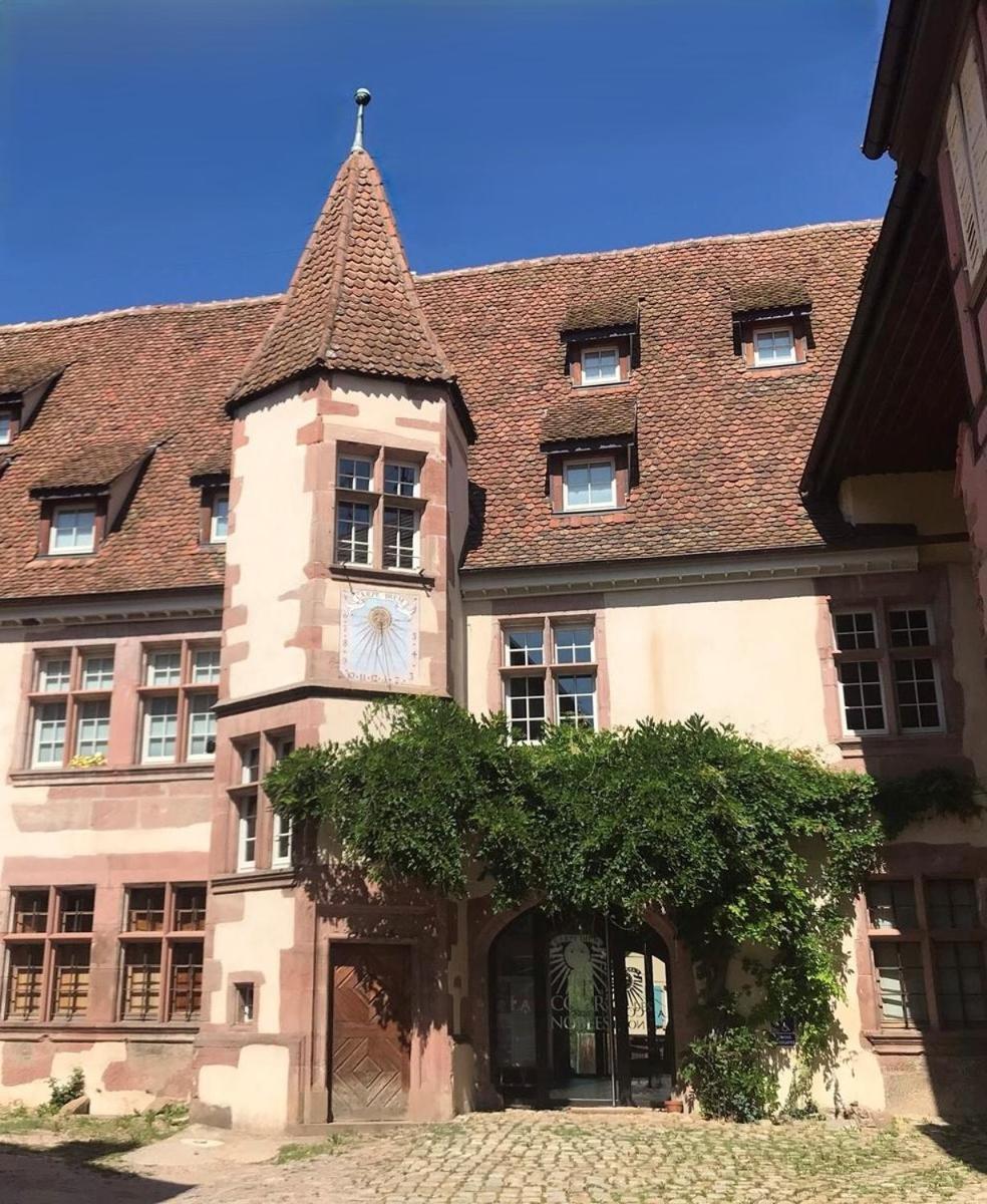 Domaine La Cour Des Nobles - Demeure, Maison Et Appartements Au Coeur De Riquewihr Buitenkant foto